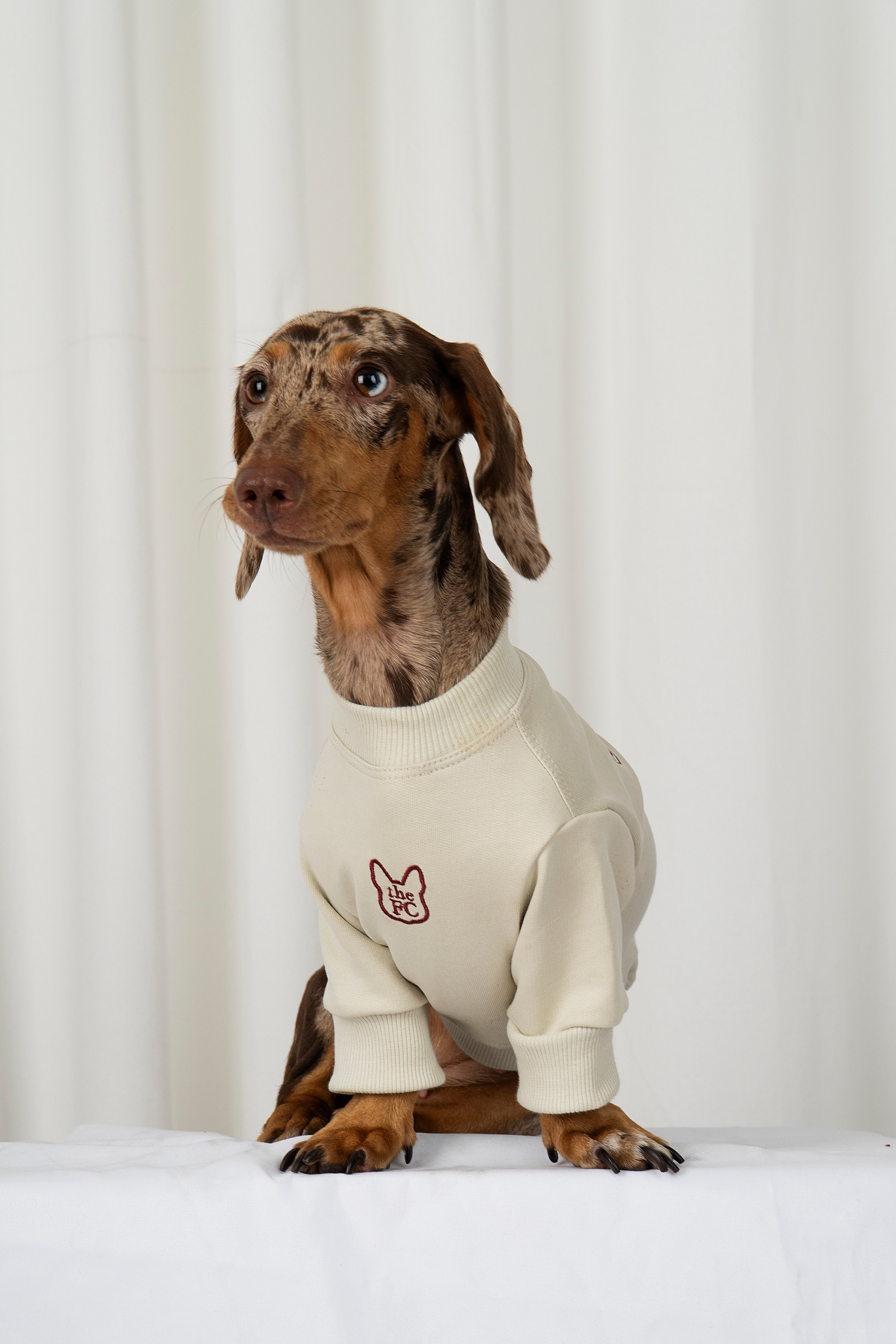 POLERA DOGMOM - CONEXION INVISIBLE