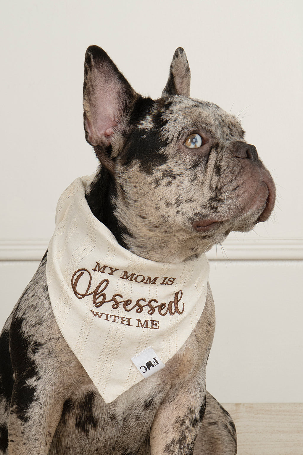 BANDANA - OBSESSED