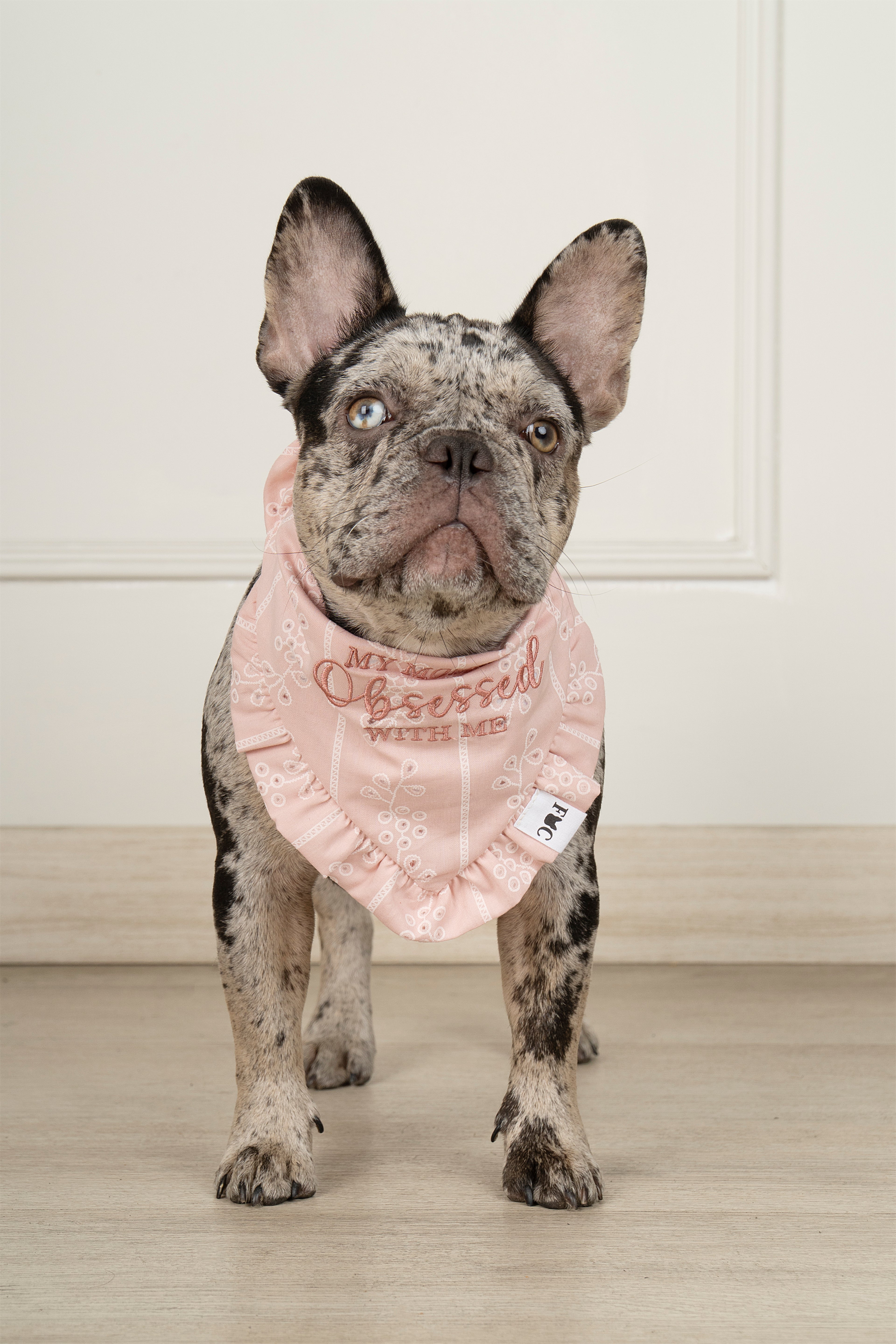 BANDANA OBSESSED - ROSA