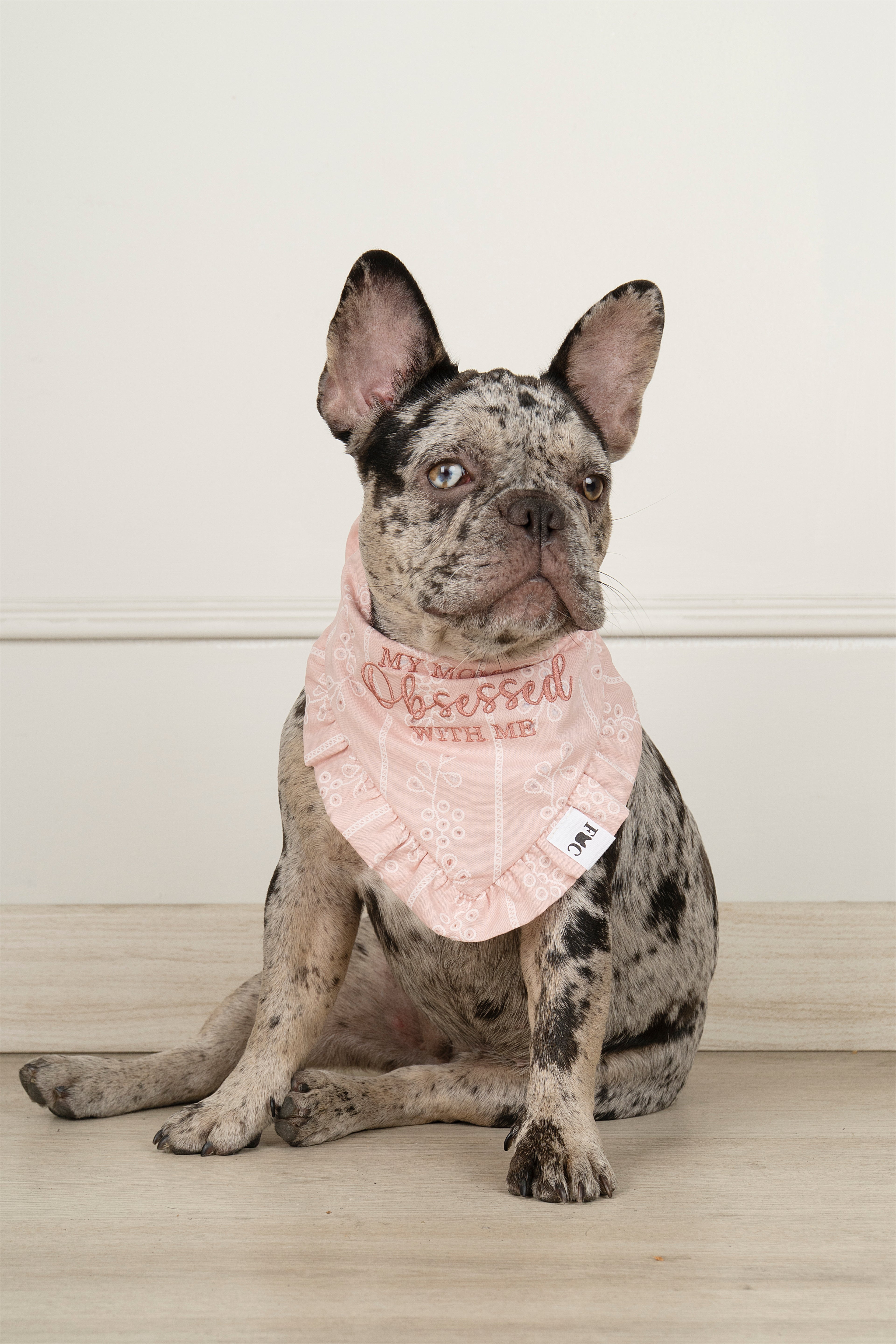 BANDANA OBSESSED - ROSA