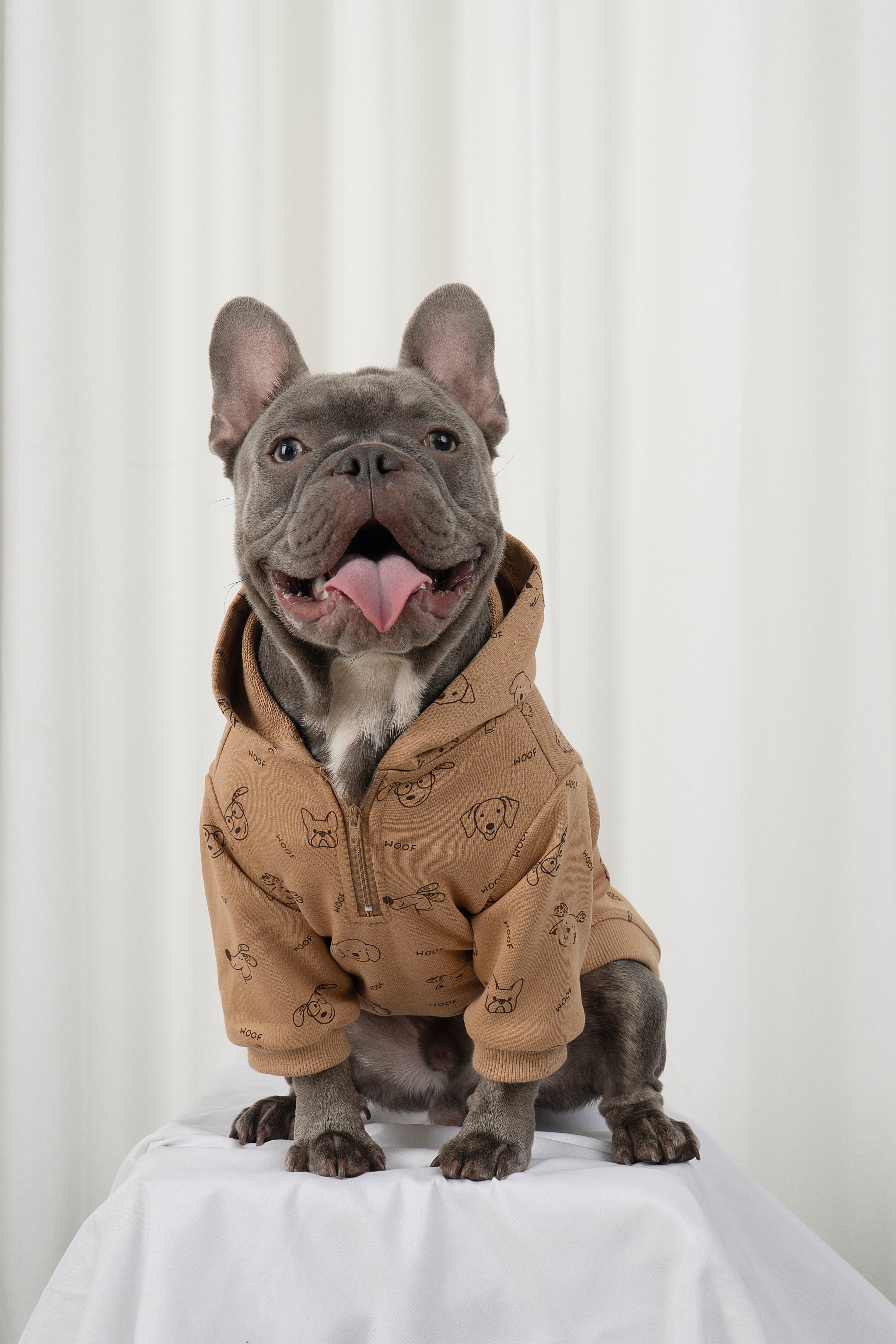SWEET LITTLE FACE - MOCHA