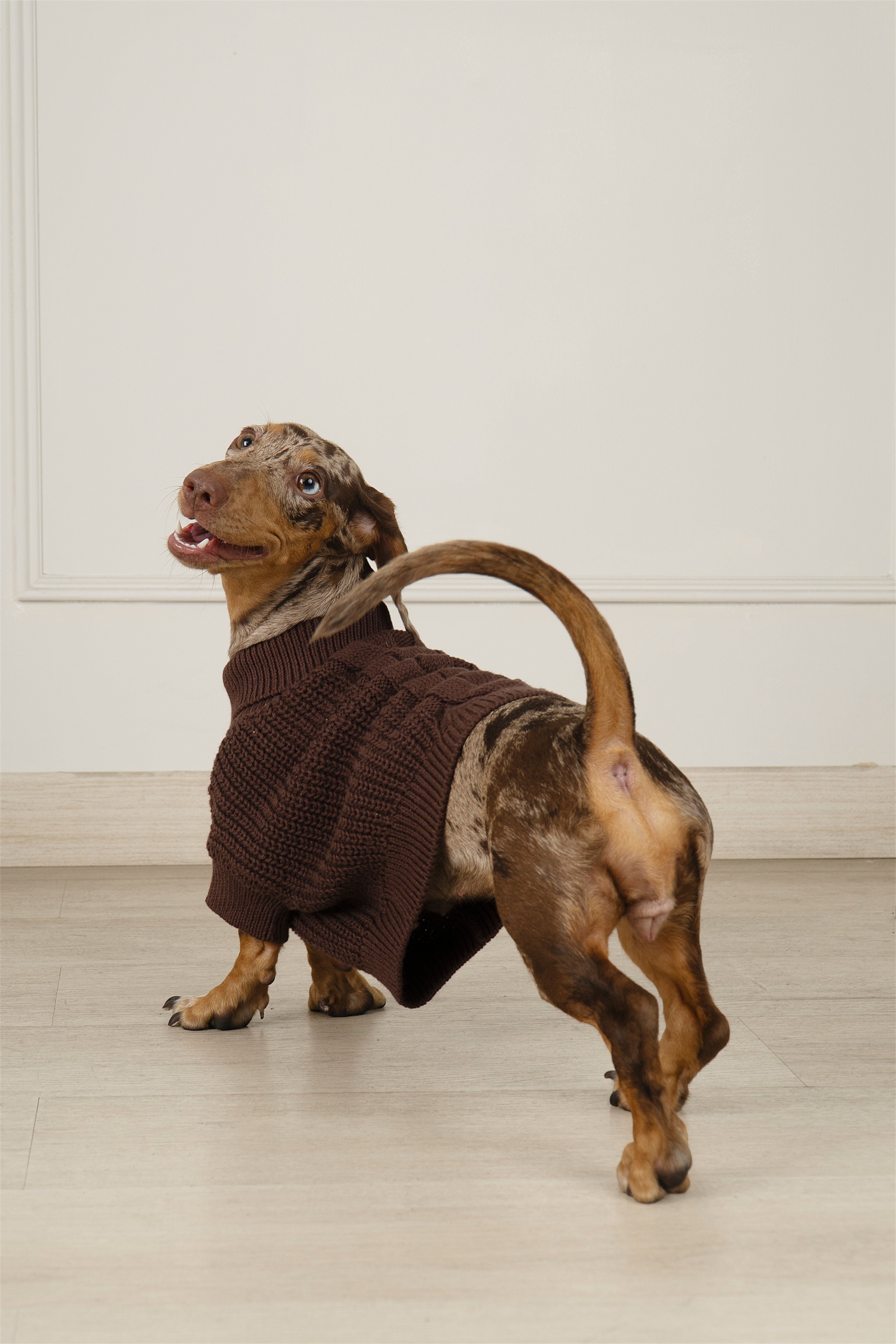 SWEATER COZY MARRON