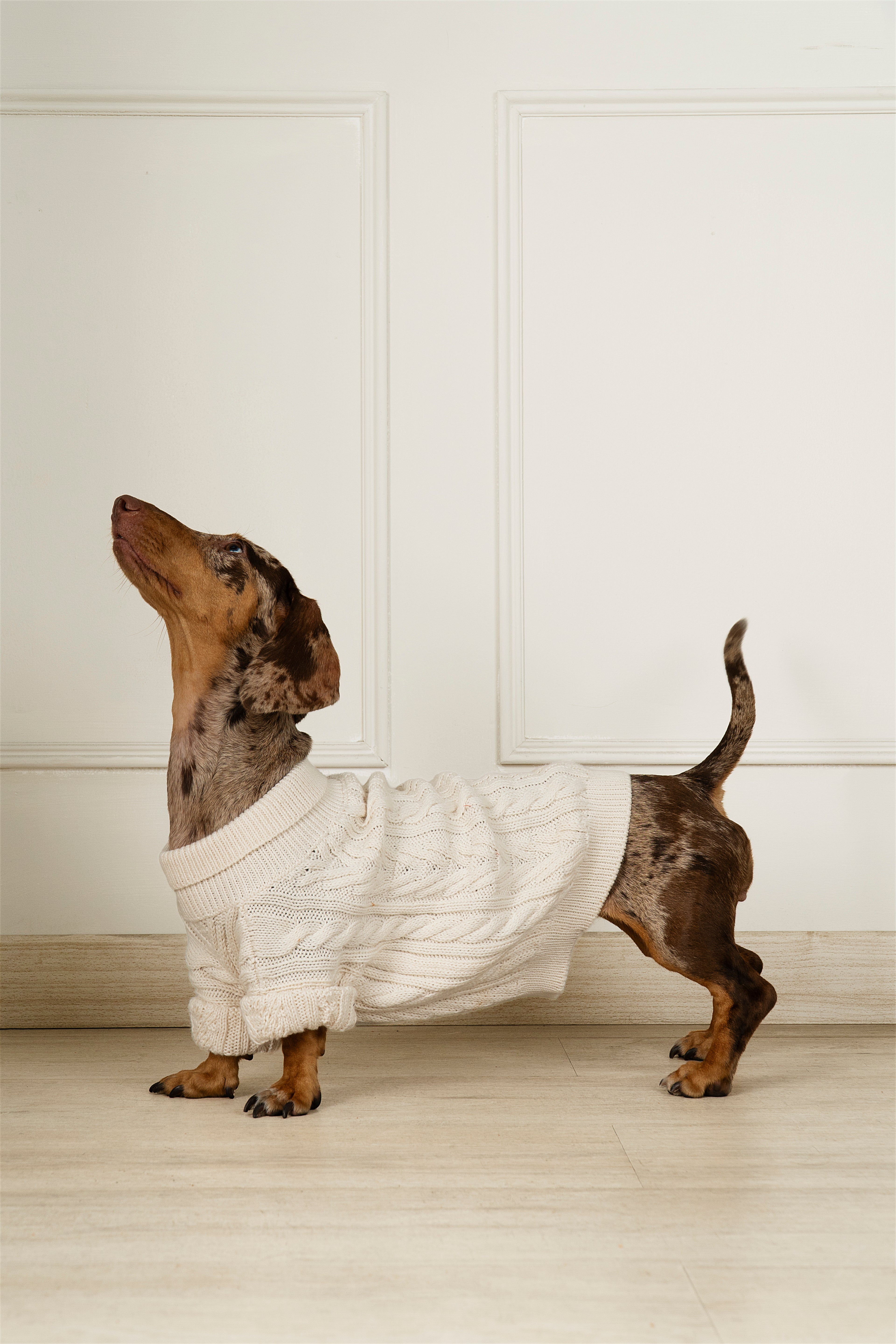 TRIBAL SWEATER CREMA