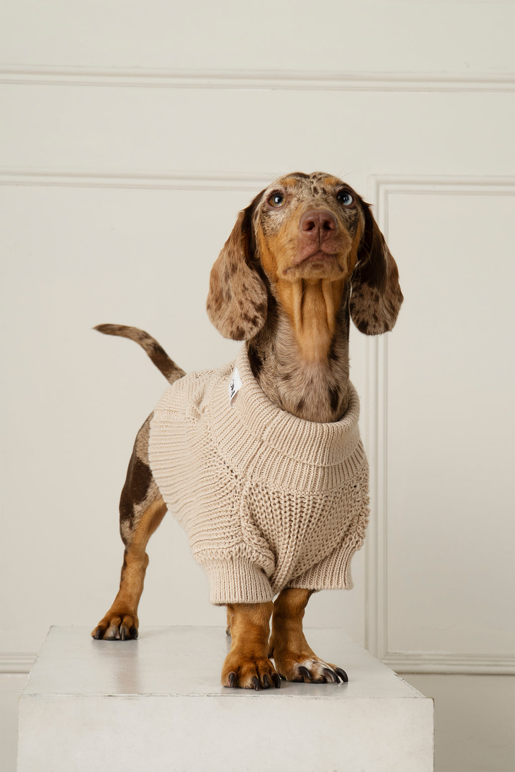 SWEATER COZY BEIGE