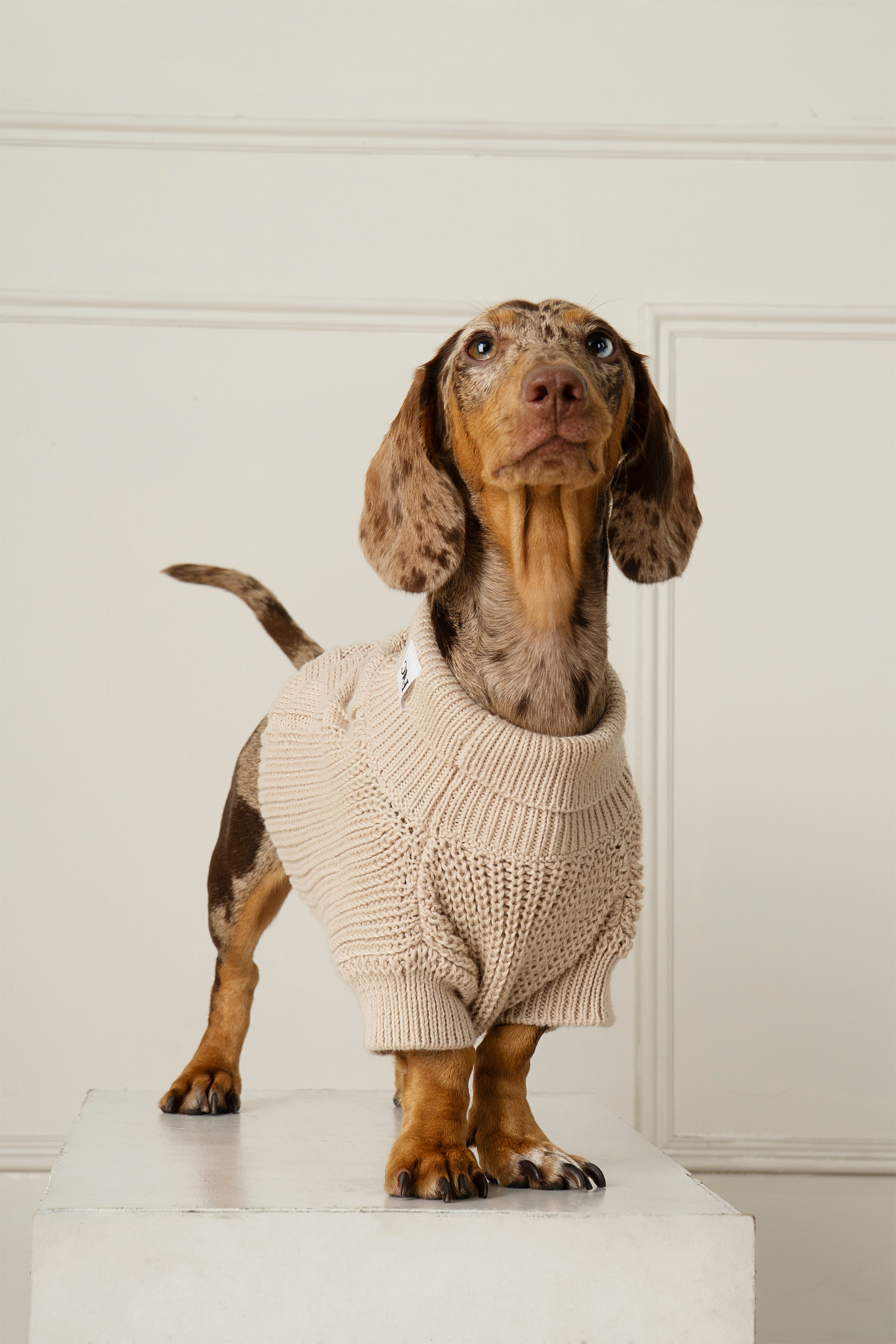 SWEATER COZY BEIGE