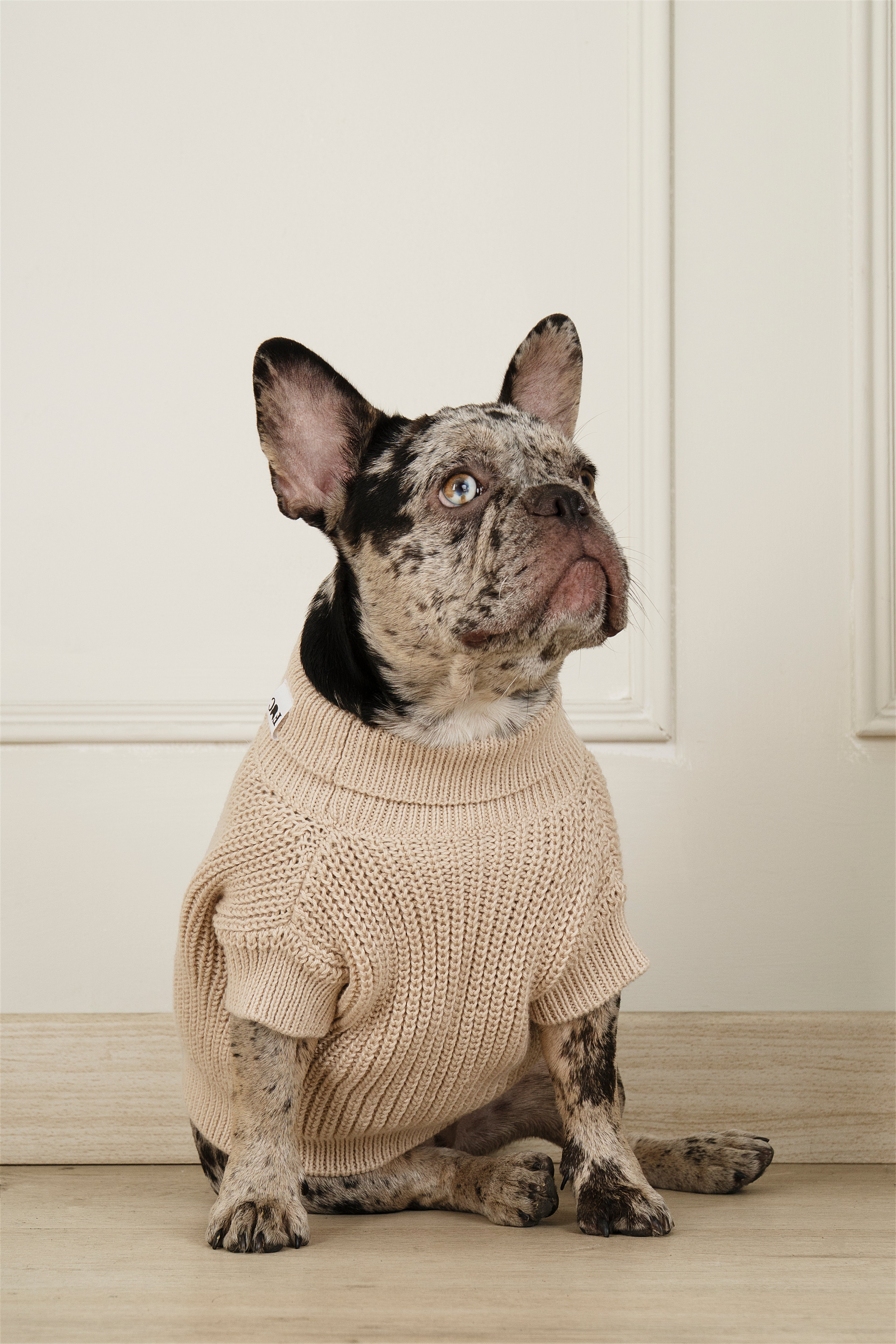 SWEATER COZY BEIGE