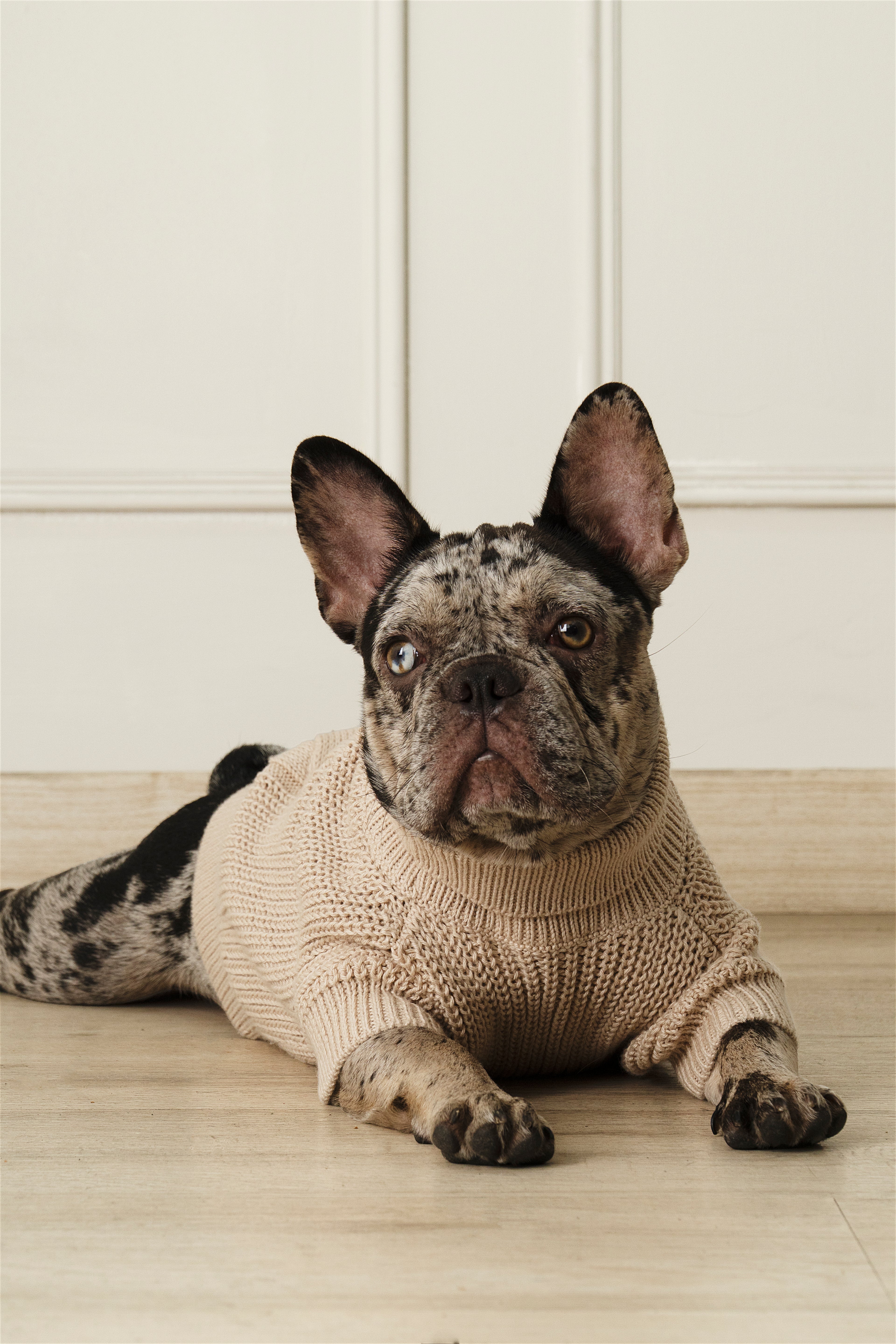 SWEATER COZY BEIGE
